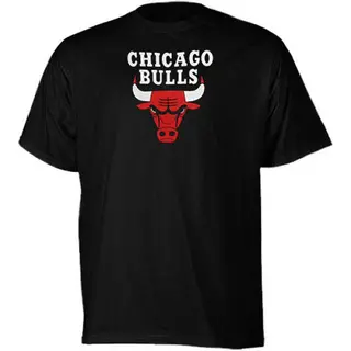 Chicago Bulls Men's Black Primary Logo T-Shirt -