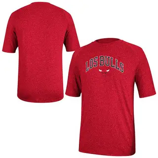 Chicago Bulls Men's Red 2014 Noches Enebea T-Shirt -