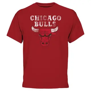Chicago Bulls Men's Red Big & Tall Team T-Shirt -
